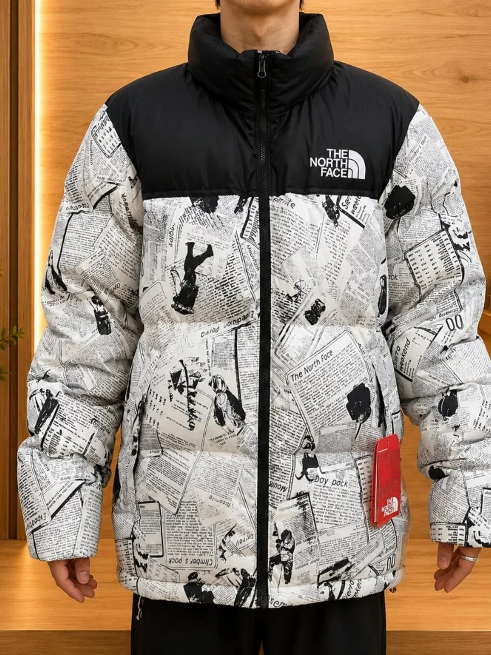 The North Face north face